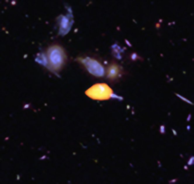 ALMA ha osservato il Campo Ultra-profondo di Hubble scoprendo nuovi dettagli della storia di formazione stellare dell'Universo. Questa immagine mostra una di queste galassie in primo piano (in arancione): è ricca di monossido di carbonio, perciò è pronta per la formazione stellare. Le strutture blu sono immagini di galassie viste da Hubble. L'immagine si basa sulla survey molto profonda ottenuta con ALMA di Manuel Aravena, Fabian Walter e colleghi, che copre circa un sesto dell'intera area dell'HUDF. Crediti: B. Saxton (NRAO/AUI/NSF); ALMA (ESO/NAOJ/NRAO); NASA/ESA Hubble