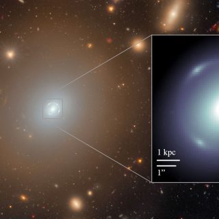 Un anello perfetto per Euclid